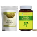HERBAL HILLS Gurmar čaj v prahu in Karela kapsule v pakiranju po 2 kapsuli