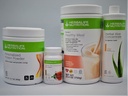 HERBALIFE Formula 1 Four Combo (Strawberry Cheesecake 750g) Zdrava prehrana Shake Mix-Herbal Aloe koncentrat Pint 473ml-PERSIONALIZED Beljakovine v prahu 360g in zeliščni čaj koncentrat 51g