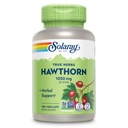 Solarnay Hawthorn Berry kapsule 1050 mg - Pomirjujoča zeliščna podpora - Hawthorne Berry dodatek za splošno podporo Wellness - Cel Berry, Vegan, Non-GMO, 60 Day garancija, 90 Servings, 180 VegCaps