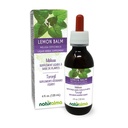 Naturalma Lemon Balm (Melissa officinalis) Leaf Alkohol-free Tinkture - 4 fl oz Tekoči ekstrakt v kapljice - Zeliščni dodatek - Vegan