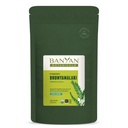 Banyan Botanicals Bhumyamalaki Powder – Organic Jetra Health Supplement* – Phyllanthus spp. – za naravno razstrupljanje in čiščenje jeter* – 1/2 Pound – Non GSO Trajno vir Vegan