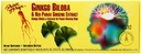 Princ miru Ginkgo Biloba&Red Pan Gns 30X10 Cc