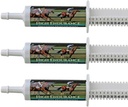 Visoka vzdržljivost oralne paste konji dopolnilo za konje—3-Pack. Elektroliti, vitamini in minerali za preprečevanje dehidracije. Tri 60-ml lahke brizge. Cox Veterinarski laboratorij, narejen v ZDA.