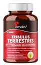 Amalth Tribulus Terrestris, 20:1 ekstrakt na postrežbo, najvišja moč z Ashwagandho, Saw Palmetto, Shilajit 120 kapsul