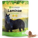 Silver Lining Herbs Laminae Podpora konji dodatki Laminitis & Ustanovitelj podpora za konje - Podpora mobilnosti, boleče noge, mehko stopalo tkiva & boljši plašč - Zeliščni Hoof dodatki za konje - 1 LB