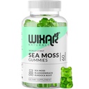 Sea Moss Gummies - Naravno irsko morje Moss in Bladderwrack z Burdock Gummy - 60 Gummies - Vegan - Zdrav imunski, Gut & Splošno Wellness podpora - Zeliščni Alkalne dopolnila