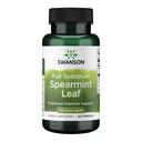 Swanson Spearmint Leaf (Mentha Spicata) - Polni spekter Zeliščni dodatek podporo Prebavni zdravje & Blag Stomach Vprašanja - Naravna Formula podpira zdravje & Wellness - (60 Kapsule, 400mg vsak)