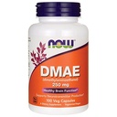 DMAE 250mg 100 kapsul