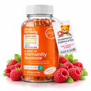 Odmerek otrok Podpora imunitete Gumies - Dnevni imunski obnovitveni dodatek Quercetin Gumies za otroke z vitaminom B kompleks, vitamin C, cink, vitamin D, Quercetin Bromelain, Echinacea - 60 Count
