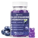 Glukozamin Chondroitin Gumies z MSM & Elderberry Extra Jakost 3000MG - Skupna podpora, Antioksidant Imunska podpora Dopolnilo za odrasle, moške in ženske - 90 borovnic