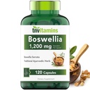 tnvitamini Boswellia Extract kapsule, 120 Štetje 