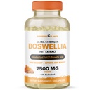 Boswellia Serrata Extract dodatek za skupno podporo, ki ga poganjajo rastline – 65% Boswellinske kisline z BioPerine – Podpira imuniteto, mobilnost in prilagodljivost – 120 veganskih kapsul