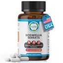 Boswellia Serrata 600mg 65 Izvleček boswellinske kisline podpira skupno udobje, prilagodljivost in mobilnost naravni zeliščni wellness dodatek Vegan, Non-GMO, Gluten-free 90 Veg kapsule.