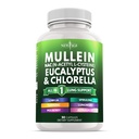 Mullein Leaf Extract za pljuča čiščenje NAC dodatek Klorofil Klorella Elderberry ingver Licorice Astragalus Oregano Turmeric Podpora 90