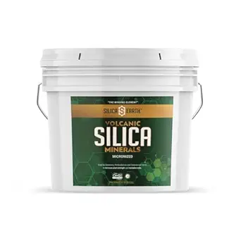 Vulkanski silikati mikronizirani - 10 lbs