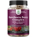 Visoka moč Hawthorn Berry kapsule - Čisti antioksidant Hawthorn Berry dodatek z listom & cvet Extract 4:1 za zdravo srce in prebavo - energijska podpora za moške in ženske - 240 Count Pack