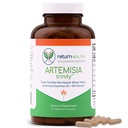 Artemisia Trinity | Cleansing for Adults with Wormwood Herb & Artemisinin 30:1 Extract | Resistance & Digestive Support | Herbal Supplements | Pure, Plant-Based, 90 Caps