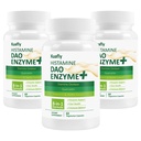 DAO dopolnila Histamin blokator – DAO Enzyme + Diamin oksidaza & Quercetin, Immortelle, Vitamin C za Gut Health and Food Support 180 kapsul
