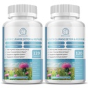 (2 pakiranji) Milk Thistle dopolnilne kapsule, Jetra Health Formula, z Dandelion Root, 10:1 Extract, za podporo za čiščenje jeter, Prebavni in imunski sistem,240 Število