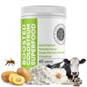 Intestinalna trdnost Okrepljeno kolostrum Superhrana prehranska dopolnila: Trava-Fed Novozelandska govedo Colostrum, Gold Kiwify, Manuka Med, za prebavljanje, imunski sistem, in Gut Health (150 Grams)