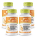 Lifestyles FiberLife Supplement – Soluble Fiber for Digestive Health & Appetite Control with Konjac, Guar Gum, Xanthan Gum, and Cinnamon – Made in Canada – 4 bottles x 60 Capsules (240 capsules)