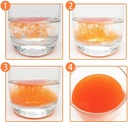 Hematococcus pluvialis Extract astaksantin (ASTA) Micro-Capsule Prašek 2,5% HPLC, CWS Instant, 1000 Grams (35 Oz.)