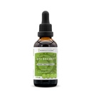 UTI Secret Alcohol-FREE Extract, High-Potency Herbal Drops, Tincture made from Cranberry, Bromelain, Pineapple, Uva Ursi, Oregon Grape, Corn Silk, Horsetail. Urinary Tract Formula 2 oz