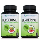 Berberin s cimetom Ceylon - 1200 mg Berberine & 100 mg Organski cimet - 120 Veggie kapsule, Zdrav imunski sistem Kardiovaskularno srce in dobro počutje prebavil (paket z 2)