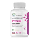 NatureGenX Methyl Prenatal with Probiotics – Prenatal Vitamins for Women with Iron, Methyl Folate, Ginger, Active B12 & 28 Nutrients – Vegan, Non-GMO, Gluten-Free – 60 Capsules (1-Month Supply)