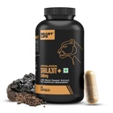 BeastLife Himalayan Shilajit | Pure & Potent Shilajit Supplement | Improve Muscle Strength, Enhances Stamina, Energy & Power | Supports Faster Recovery | Natural & Organic Shilajeet (60 Capsules)
