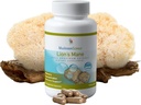 Kapsule gobScience Lions Mane Gobe, podpora pomnilniku in koncentraciji, izvleček celotnega spektra, dopolnilo gob za odrasle, izvlečka tople vode, vegetarijanske, 300MG, 90 ct