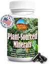 Fulvic Humic Mineralna mešanica trace Minerals, elektroliti, Gut Health, Kognitivne funkcije, Hidracija in Imunska podpora, Čista vitalnost Formula za Wellness - 60 kapsul