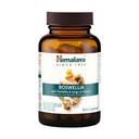 Himalaja Boswellia, skupna podpora mobilnosti in prilagodljivosti, spodbuja ohranjanje tkiva, 250 mg, 60 kapsul