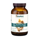 Himalaja Boswellia, skupna podpora mobilnosti in prilagodljivosti, spodbuja konzerviranje tkiva, 250 mg, 240 kapsul