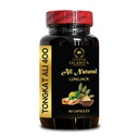 Longjack Tongkat Ali – Herbal Support for Men’s Active Days and Natural Lifestyle - Natural Formula for Energy and Focus - 1 Bottle 60 Capsules