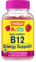 WellYeah Vitamin B12 Gummies za otroke - povečanje energije, izboljšanje delovanja možganov, in krepitev imunskega sistema - Non-GMO, Gluten-free - Velika okus Berry Flavor - Easy to Chew - 60 Gummies