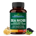 SANDHUHERBALS Sea Moss Kapsule s črnim oljem Seed Ashwagandha Ginger Burdock Root 