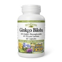 HerbalFactors by Natural Factors, Ginkgo Biloba, Podpira spomin, mentalne zmogljivosti in zdravo delovanje možganov, 60 kapsul (60 obrokov)