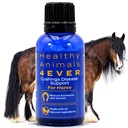 HA4E - Horse Digestive Support for Cushing’s Disease - Preventative Care - Highly Effective, Natural Homeopathic Supplement - 300 Tablets