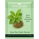 Stevia Seeds (Stevia rebaudiana) for Home Garden (500 mg) | Meethi Tulsi Sweetleaf Herb Seeds