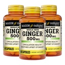 MASON NARAVNI cel Herb Ginger 500 mg, 6 mesecev oskrba, naravni zeliščni dodatek, 60 kapsul (3 pakiranja)