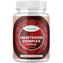 Visoka moč Hawthorn Berry kapsule - Čisti antioksidant Hawthorn Berry dodatek z listom & cvet Extract 4:1 za zdravje srca in prebavo - energijska podpora za moške in ženske - 120 Count Pack