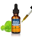 Herb Pharm Organic Nootropic Brain & Memory Supplement with Ginkgo Biloba Liquid Extract: Hitra absorpcija za mentalno fokus podporo, Ginkgo Supplement, Vegan, Gluten-free, Non-GMO, 1 Oz