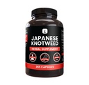 PURE POREKLA SESTAVINE Japonski Knotweed, (365 kapsul) Brez magnezija ali riževih polnil, vedno čista, laboratorij preverjen