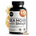 Atlantic Naturals Sea Moss in Shilajit kapsule – 5-v-1 Seamoss Shilajit Combo z Bladderwrack, Burdock Root & Black Pepper – Sea Moss dodatki za absorpcijo in vitalnost – 2705 mg – 60 Count