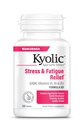 Kyolic Aged Česen Extract Formula 101, Stres in utrujenost Relief, 100 tablet.