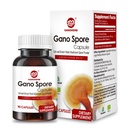 Kapsule organskih Reishi gob s 100% Ganoderma Lucidum Reishi Spore Prašek za povečanje imunskega sistema, Vegan, vse naravne, brez GMO in glutena, 60 Veggie kapsule