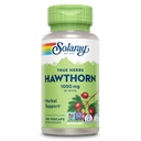 SOLARAY Hawthorn Berry kapsule 1050 mg - Pomirjujoča zeliščna podpora - Hawthorne Berry dodatek za splošno podporo Wellness - Cel Berry, Vegan, Non-GMO, 60 Day garancija, 50 Servings, 100 VegCaps