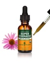 Herb Pharm Certified Organic Super Echinacea Tekoči ekstrakt za podporo imunskega sistema - 1 Ounce (DSUPER01)