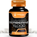 WELLNESS LABSRX Berberine Dodatek 15.000 mg - Berberine s cimetom Ceylon, skupne kapsule za podporo Wellness - 120 kapsul (paket po 1)